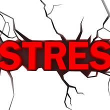 Jaka dieta pomaga pozbyć się stresu?