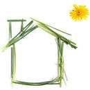 Co zmienić w swoim domu, by chronić środowisko?