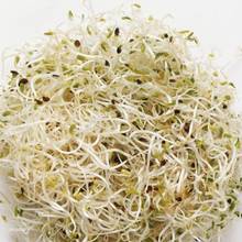 Korzyści z jedzenia kiełków