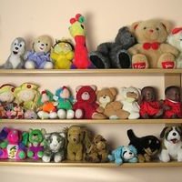 Jak wyeksponować pluszowe zabawki?