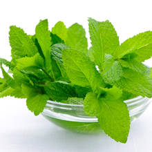 Pozytywne właściwości mięty