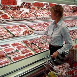 Szacunek dla zwierząt