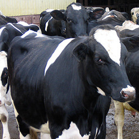 Korzystniej dla środowiska