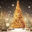 Jak spędzić samotnie Boże Narodzenie?