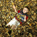 Jak pokazać dziecku piękno jesieni?