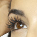 W jaki sposób wzmocnić rzęsy?