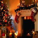 Jakich roślin nie powinno zabraknąć w domu w Boże Narodzenie?