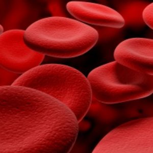 Woda jako transporter