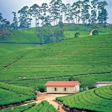 Ciekawostki turystyczne na Sri Lance