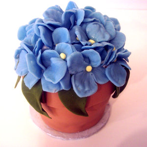 Pierwsza pomoc dla kwiatów