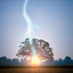 Czego nie należy robić w czasie burzy w lesie?