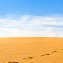 Jak dążyć do wyznaczonego sobie celu?