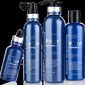 Odżywianie i regeneracja