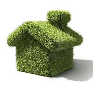 Co warto zmienić w swoim domu, by żyć ekologicznie?