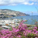 Co ciekawego jest na Maderze?