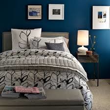 Wydanie w błękicie