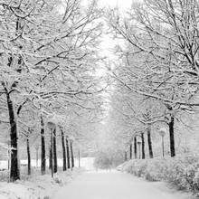 Jak zachować zdrowie zimą?