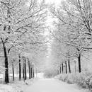 Jak zachować zdrowie zimą?