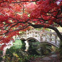 Jak się zachowywać podczas wizyty w Japonii?