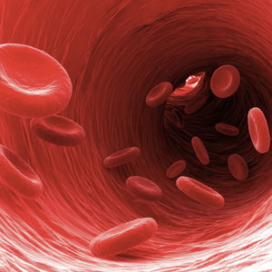 Dlaczego żelazo jest tak istotne?