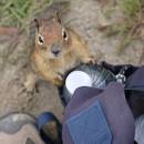 Organizacja wycieczki pieszej – porady i wskazówki