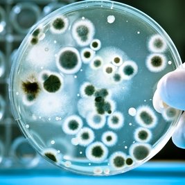 Jak postępować po odkażeniu wody?