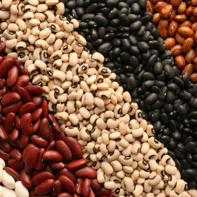 Owoce ziemi, lasów i sadów