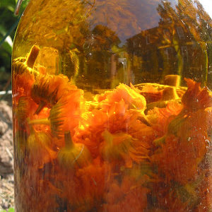 Oliwka z nagietka na problemy ze skórą