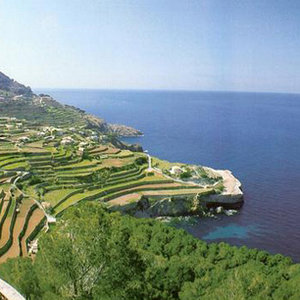 Winnica w Binissalem