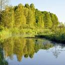 Dlaczego warto odwiedzić Mazury?