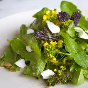 Składniki mineralne