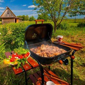 Przyjęcie w ogrodzie – porady i wskazówki