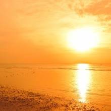 Jak sobie radzić w upalne dni?