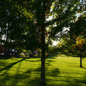 Jak przetrwać upał w domu?