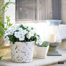 Jak wykonać pokrytą mozaiką doniczkę z wiaderka?