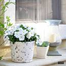 Jak wykonać pokrytą mozaiką doniczkę z wiaderka?