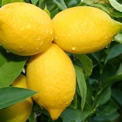 Co możesz wyczyścić za pomocą cytryny?
