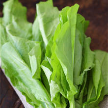 Jak przygotować napar ze szczawiu?