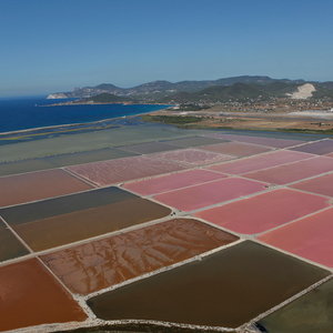 Ses Salines