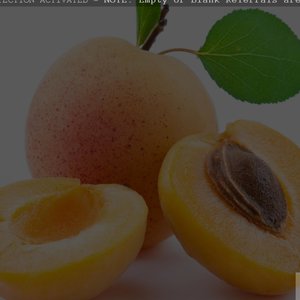 Jak przygotować maseczkę z moreli?