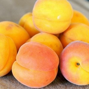 Zalety stosowania maseczki z moreli