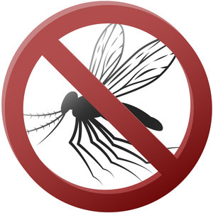 Odstraszające zioła