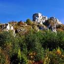 Jak ciekawie zaplanować zwiedzanie Jury Krakowsko-Częstochowskiej?