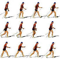Nordic walking
