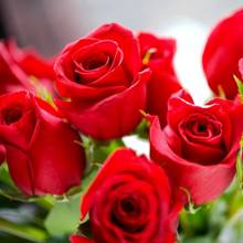 Jak obchodzi się Dzień Kobiet w różnych miejscach na świecie?