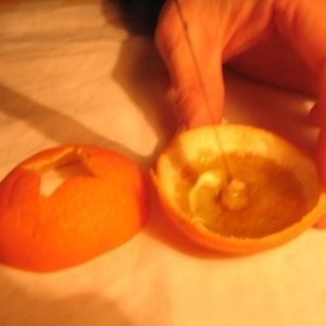 Namaczanie białego ogonka