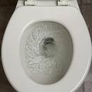 W jaki sposób usunąć kamień z toalety?