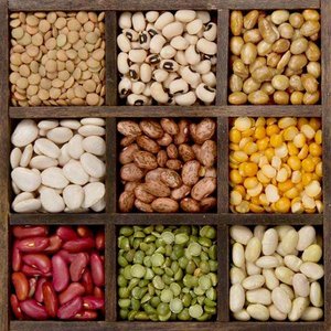 Nasiona roślin strączkowych