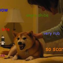 W jaki sposób bronić się przed atakiem psa?