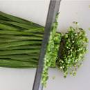 Jak uprawiać szczypiorek zimą?